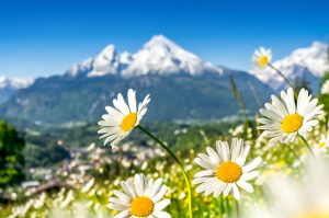 Read more about the article 20 Tips for De-Winterizing your RV and get ready for Spring!